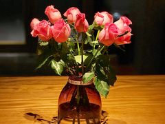 -Bco豆库(星耀天地店)