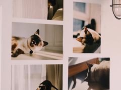 -春风十里咖啡馆