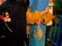 -南湖梦幻岛