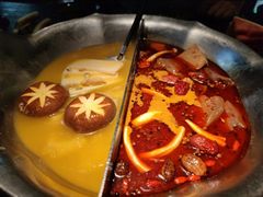 台式麻辣花胶鸡鸳鸯锅-湊湊火锅·茶憩(世博大道店)