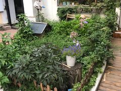 -海边的猫和咖啡馆