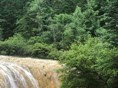 -黄龙山原始森林景区