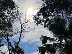 -中国科学院西双版纳热带植物园