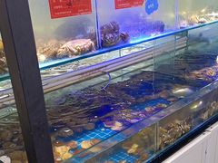 -四海蒸鲜蒸汽海鲜自助(北戴河店)