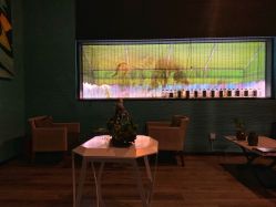 -THANN EXPRESS SPA