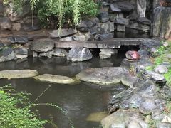 -西安青龙寺遗址景区