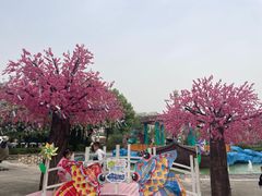 -南湖梦幻岛