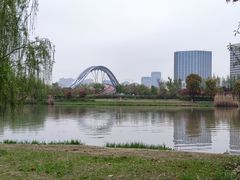 -澹台湖公园