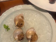 -月龍吟(朝龙汇店)