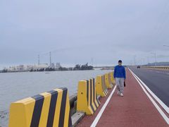 -汕尾风车岛
