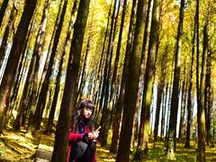 -山王坪喀斯特国家生态公园