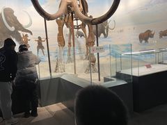 -辽宁古生物博物馆