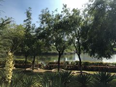 -西安汉城湖景区