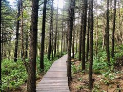 -白草畔自然风景区