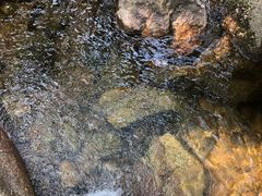 -鲁山国家森林公园