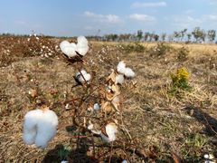 -漩门湾国家湿地公园