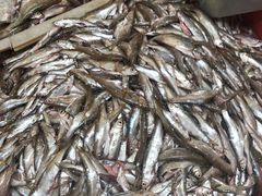 -青石桥市场北1-27号