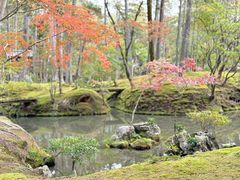 -西芳寺(苔寺)
