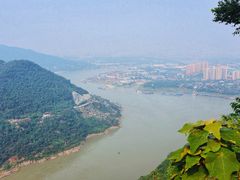 -铁山坪森林公园