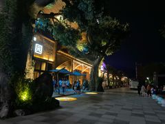 -杭州开元森泊度假乐园