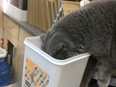 -半岛宠物医院24小时(西派城店)