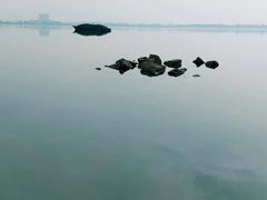 -美味之家·湖景农家乐(太湖东山店)