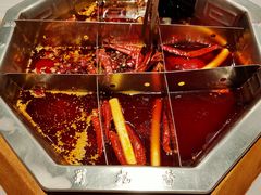 -蜀九香火锅(九眼桥店)