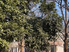 -河南省黄河迎宾馆