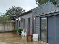 -南汇新场正宗水蜜桃采摘