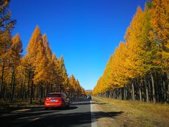 -塞罕坝国家级自然保护区