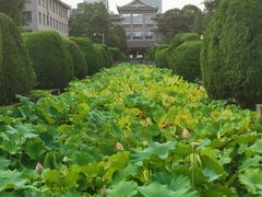 -四川大学(华西校区)