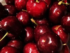 -Wellcome(庄士敦道店)