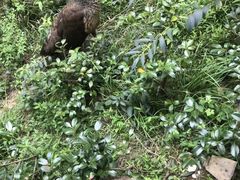 -苏州环秀晓筑养生度假村