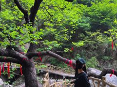 -洛阳白云山景区