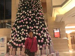 -上海新发展亚太JW万豪酒店