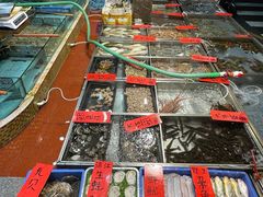 -湛江渔港·大排档(乐园路总店)