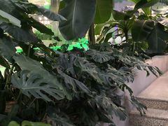 -北国商城