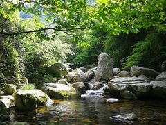 -终南山国家森林公园