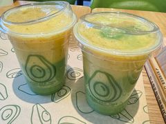 -油梨树AVOCADO TREE(望京店)