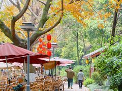 -成都市活水公园