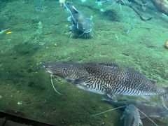 -珠海长隆海洋王国