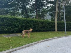 -火炉山森林公园