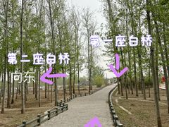 -马家湾湿地公园