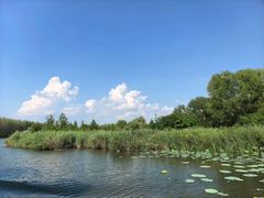 -滕州微山湖红荷湿地景区