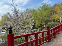 -大连植物园