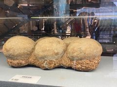 -湖南省地质博物馆