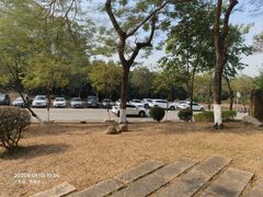 -东莞市大岭山森林公园