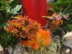 -汉水谣·江景餐厅(江滩店)