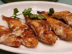 -七寸飝大饭店(马场店)