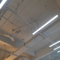 点击看大图 -蚂蚁造型沙龙
